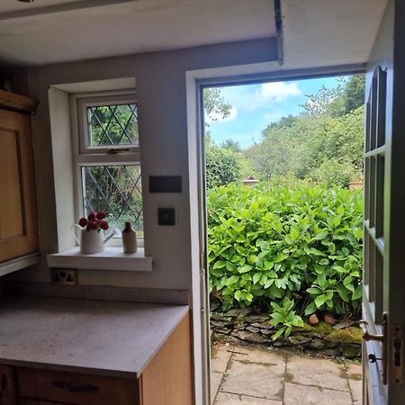 Glyn Isa Country House B&B And Self Catering Apartments Conwy Kültér fotó