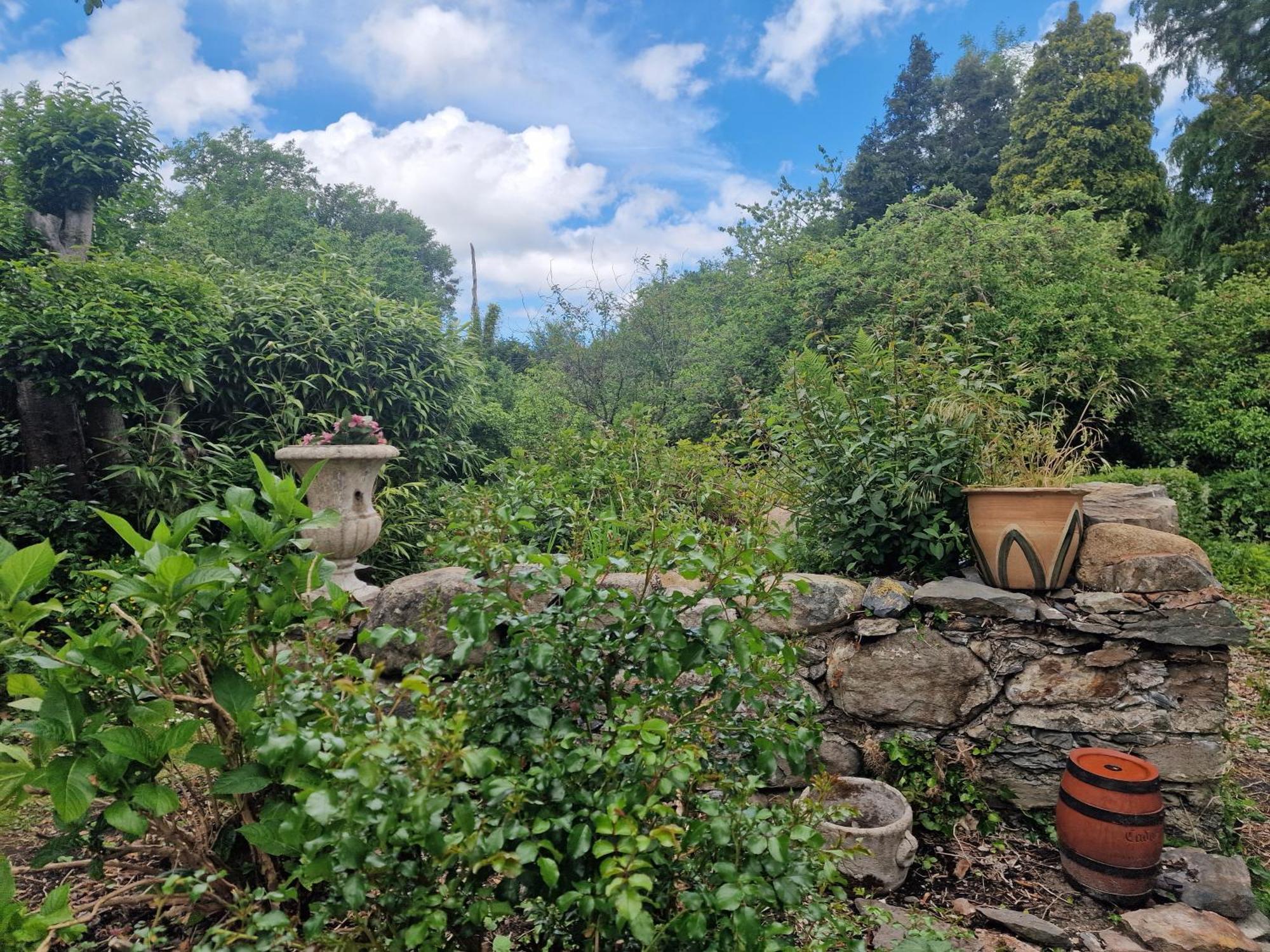 Glyn Isa Country House B&B And Self Catering Apartments Conwy Kültér fotó